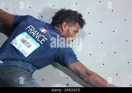 TOULOUSE, Francia - 28 NOV 2019: Bassa Mawem durante el hombre de trepar rocas calificación de la escalada deportiva Torneo Preolimpico combinado en Toulouse, Francia (Crédito de la foto: Mickael Chavet) Foto de stock