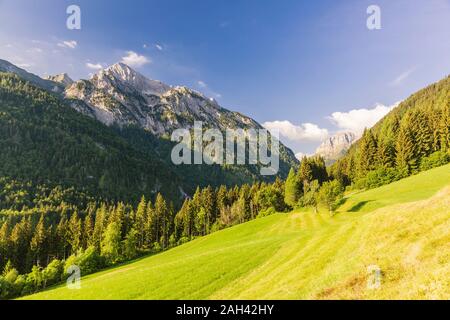 Austria, Carintia, vista escénica de Gailtaler Polinik y boscoso valle en verano Foto de stock