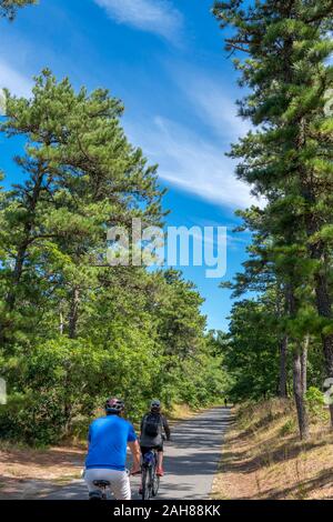 Los ciclistas en el Cape Code Rail Trail, una ruta en bicicleta pasando por Nickerson State Park, en Cape Cod, Massachusetts, EE.UU. Foto de stock