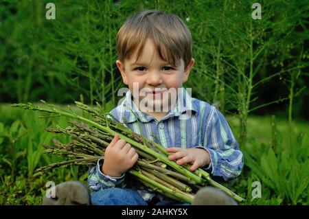 Little Boy holding recogido espárragos frescos Foto de stock