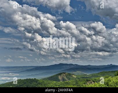 Las Golondrinas en el cielo contra un fondo de nubes blancas. Un verde paisaje de colinas con viñedos. Georgia. Espacio infinito