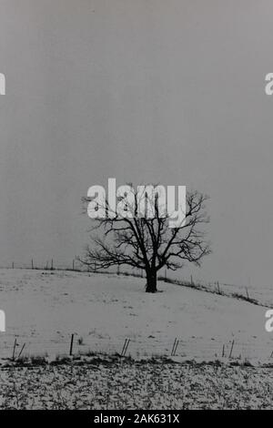 Minimalismo de los años setenta fotografía vintage en blanco y negro de un campo vacío