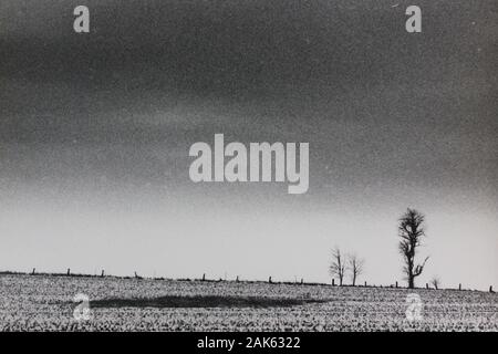 Minimalismo de los años setenta fotografía vintage en blanco y negro de un campo vacío