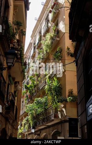 Típicos balcones en un bloque de apartamentos en el centro de la ciudad, Bacelona, España. Plantas en macetas suspendidas sobre las balaustradas. Foto de stock
