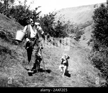 Agricultor y perro, Swaledale, Yorkshire en la 1940/50S Foto de stock