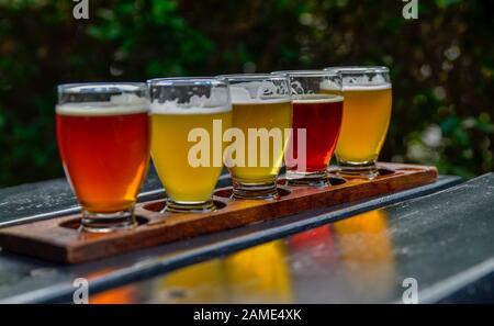 https://l450v.alamy.com/450ves/2ame4xk/degustacion-de-cerveza-artesanal-cinco-vasos-con-cervezas-de-diferentes-colores-y-sabores-un-portavasos-de-madera-sujeta-los-vasos-en-fila-2ame4xk.jpg