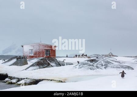 Isla Peterman, Península Antártica, Antártida Foto de stock