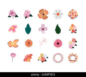 Flores y hojas naturales, diseño floral ornamento vegetal natural decoración de jardines y botánica tema ilustración vectorial