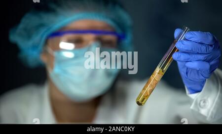 Ayudante de laboratorio veterinario mirando muestra de carne en líquido amarillo, análisis de gripe porcina. Foto de stock