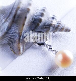 Shell y Pearl Earrings - cerrar Foto de stock