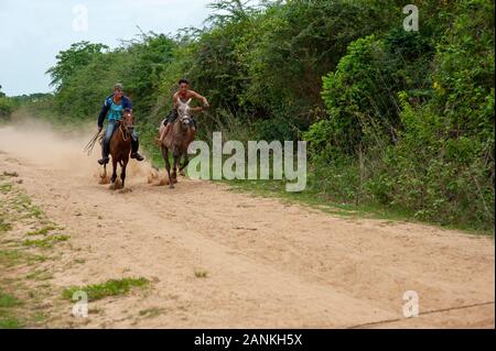 Carrera de caballo en cuba discount artemisa y pinar del rio