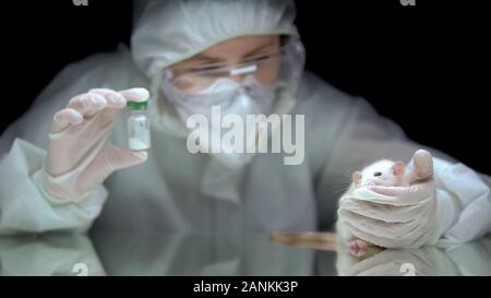 Scientist celebración frasco con polvo blanco y rata, laboratorios de drogas ilegales