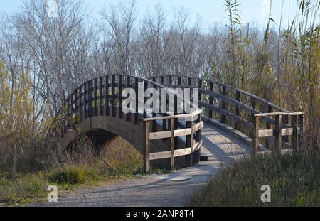 Puente colgante de madera sobre el río Turia, Parque Natural de Turia, Valencia (este de España) Foto de stock