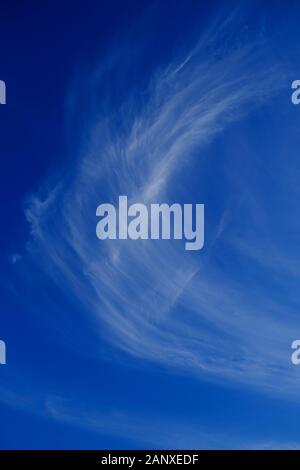 Blanco brillante de nubes cirrus en azul cielo, marco vertical.