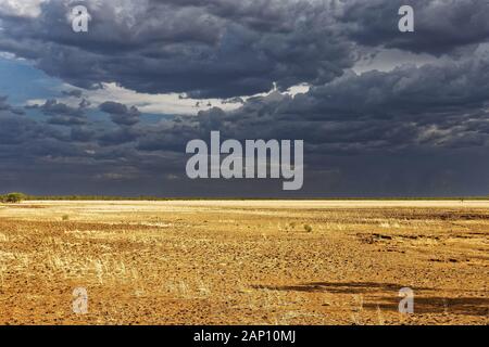 Paisaje de sabana con cielo tormentoso, West Kimberley, Australia Occidental | uso en todo el mundo Foto de stock