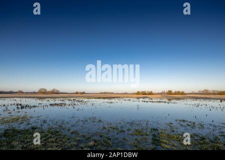 Bampton, Oxfordshire, River Thames, Lugar Shoot, Vacaciones, Viajes