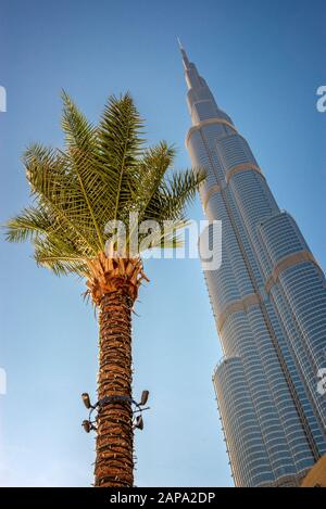 Burj Khalifa torre y una palmera desde abajo en Dubai, Emiratos Árabes Unidos.