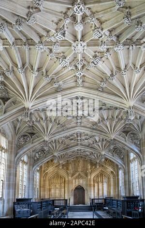 Universidad de Oxford, techo abovedado gótico Perpendicular de la Escuela de Divinidad (Teología), una ubicación de cine en las películas de Harry Potter y otros Foto de stock