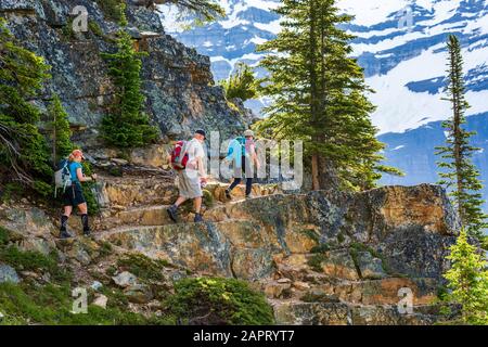 Excursionistas a lo largo de un sendero rocoso acantilado de montaña con una cadena de montañas cubiertas de nieve en el fondo, Parque Nacional Yoho; Field, British Columbia, Canadá Foto de stock