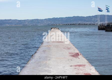 Alcatraz Clipper dirigido por Alcatraz Cruises en la Bahía de San Francisco, Estados Unidos Foto de stock