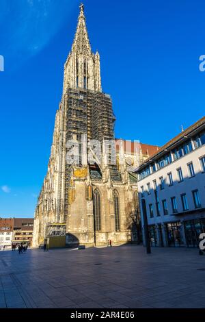 Ulm, Alemania, 29 de diciembre de 2019, antigua catedral de la catedral, edificio de iglesia gótica con altos campanario en el casco antiguo con andamios, una magna turística Foto de stock