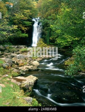 Cascada En El Río Caerfanell, Blaen Y Glyn, Parque Nacional Brecon Beacons, Powys, Gales. Foto de stock