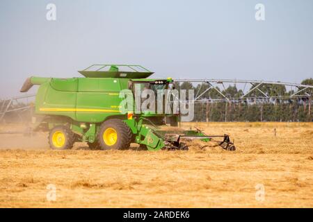Canterbury, Nueva Zelanda, enero de 26 2020: Una cosechadora John Deere separa la semilla de la ryegrass cortada en un campo agrícola