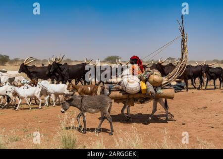 Caravana de nómadas Peul con sus animales en el Sahel de Níger, África Occidental, África Foto de stock