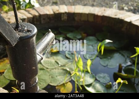 Tiro aéreo de un estanque de peces lleno de lirios de agua en un día soleado