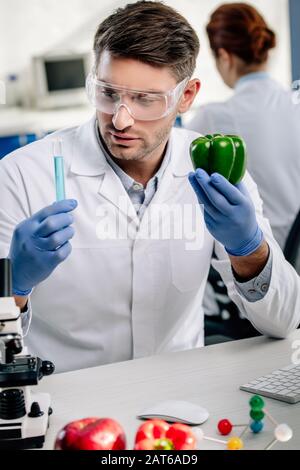 nutricionista molecular que sostiene el pimiento y el tubo de ensayo en el laboratorio Foto de stock