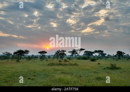 Paisaje con amanecer en el Parque Nacional Serengeti, Patrimonio de la Humanidad de la UNESCO, Tanzania, África