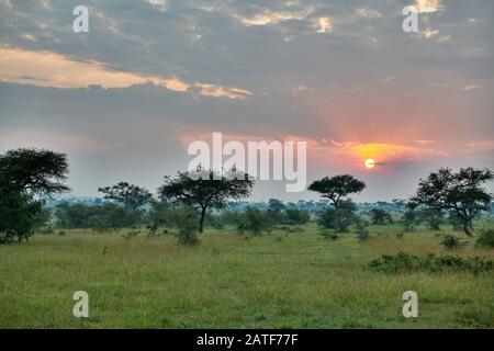 Paisaje con amanecer en el Parque Nacional Serengeti, Patrimonio de la Humanidad de la UNESCO, Tanzania, África