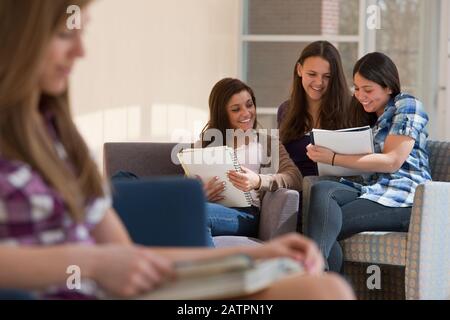 Cuatro adolescentes en un corredor de secundaria, mirando a través de cuadernos juntos Foto de stock