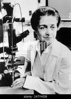 1960's , Washington University , EE.UU. : RITA LEVI MONTALCINI ( Torino 1909 ) , neurofióloga italiana , Premio NOBEL 1986 - PREMIO NOBEL - LEVI-M. Foto de stock