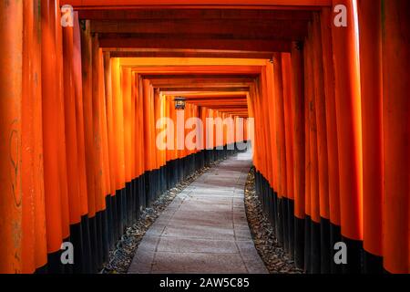 Miles de puertas rojas torii a lo largo de la pasarela en el templo fushimi inari taisha es importante santuario sintoísta y está situado en kyoto japón. Japón turismo, naturaleza Foto de stock