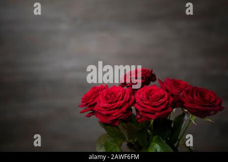 Rosas rojas en el fondo de moody Foto de stock
