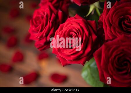 Rosas rojas en el fondo de moody Foto de stock