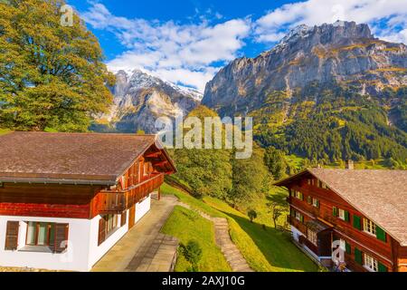 Grindelwald, Suiza vista pueblo de antena y el otoño Alpes Suizos panorama montañas paisaje, chalets de madera en campos verdes y altos picos en la espalda Foto de stock