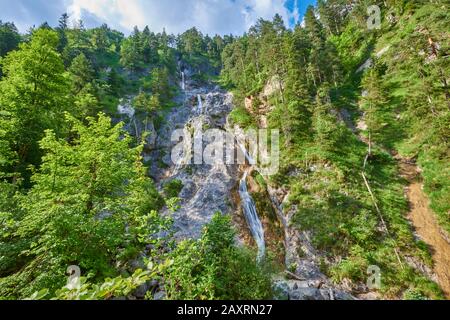 Stream, Almbach Gorge, Verano, Berchtesgadener Land, Baviera, Alemania Foto de stock