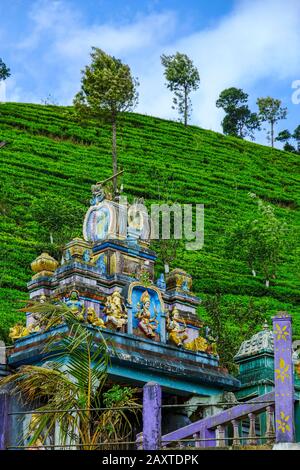 Templo hindú cerca de una plantación de té en Nanu Oya, Sri Lanka. Foto de stock