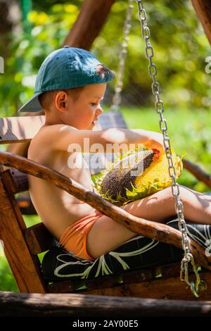 Little Boy holding maduras cabeza de girasol. Cute Little Boy en una gorra  de béisbol se sienta en un columpio. Niño de comer semillas de girasol  Fotografía de stock - Alamy