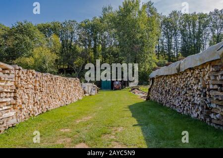 Dos pilas de troncos apilados para secar en un prado de Bélgica Foto de stock