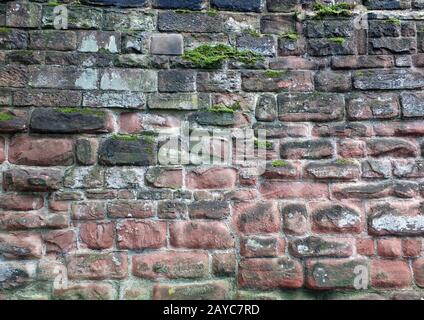 imagen de fotograma completo de una antigua pared de arenisca de colores rojo y negro con sodas y algas creciendo en la superficie Foto de stock