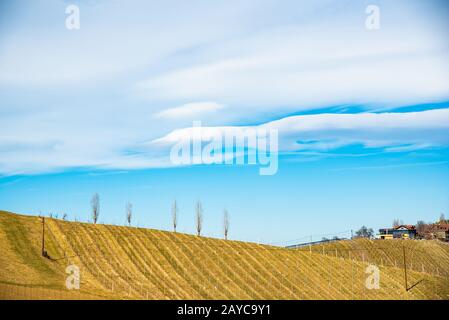 Panorama de viñedos. Sur Kastenburg Estiria viajes in situ Foto de stock