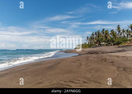 Vista De Pantai Babadan (Playa Babadan), Canggu, Bali, Indonesia. Arena negra volcánica, olas del océano, palmeras.