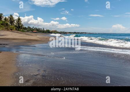 Vista De Pantai Babadan (Playa Babadan), Canggu, Bali, Indonesia. Arena negra volcánica, olas del océano, palmeras.