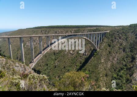 Puente De Bloukrans, Cabo Oriental, Sudáfrica. Dic 2019. Puente de Bloukraans que lleva una carretera de peaje a 216 metros sobre la garganta a través de la ruta del jardín en Foto de stock