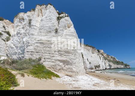 Acantilado de roca Pizzomunno junto a la playa, Vieste, Gargano, Apulia, Italia. Foto de stock