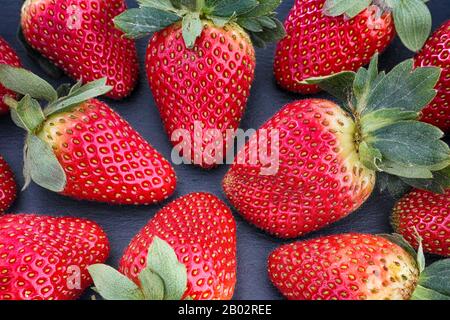 Fresa Roja Fresa. Fresas Frescas Cosechadas - Fondo De Fresas Recién  Cosechadas Fotos, retratos, imágenes y fotografía de archivo libres de  derecho. Image 86872284