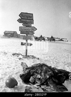 Segunda Guerra Mundial Stalingrado Batallas Foto Imagen De